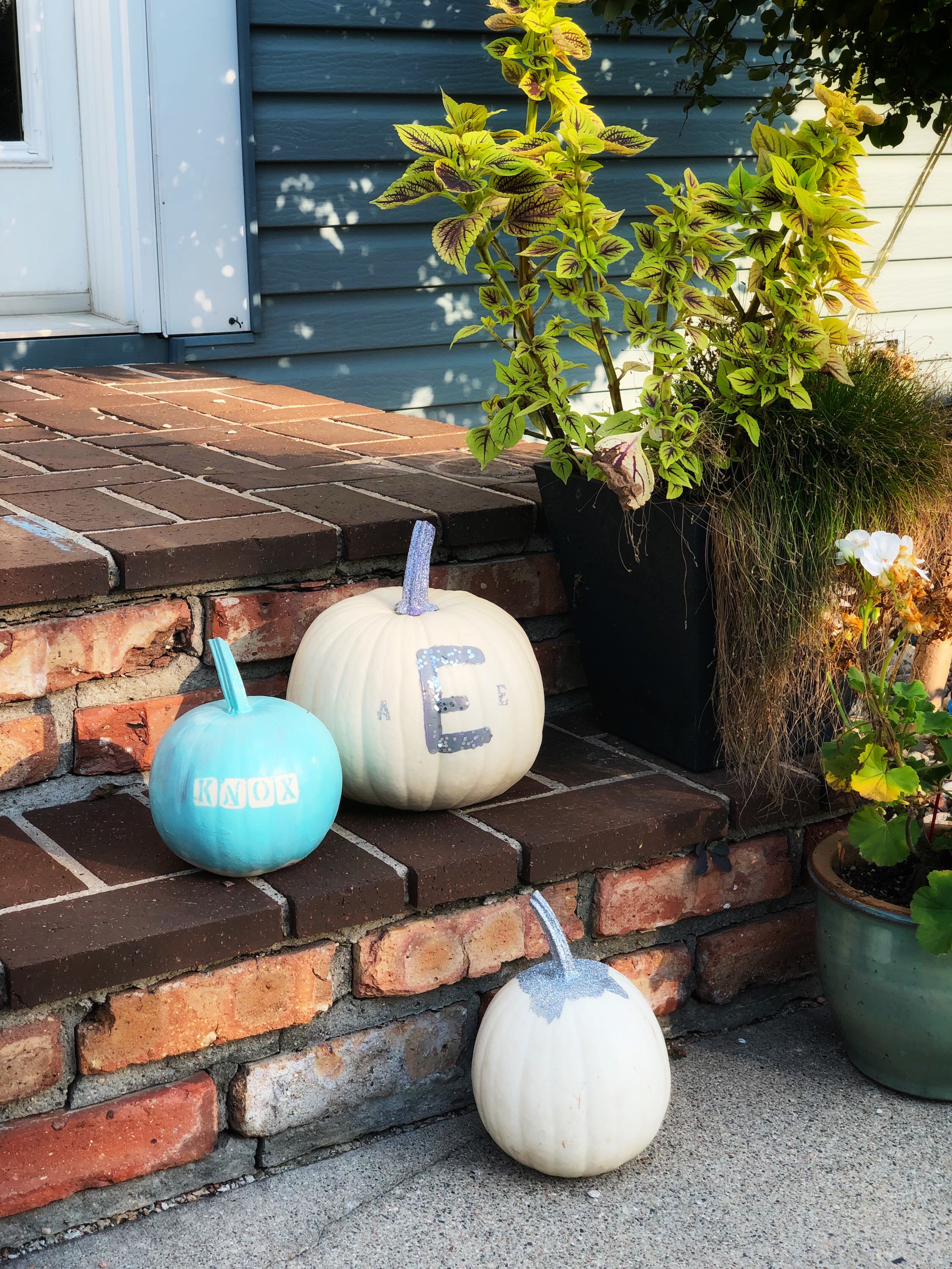 Teal Pumpkin Project