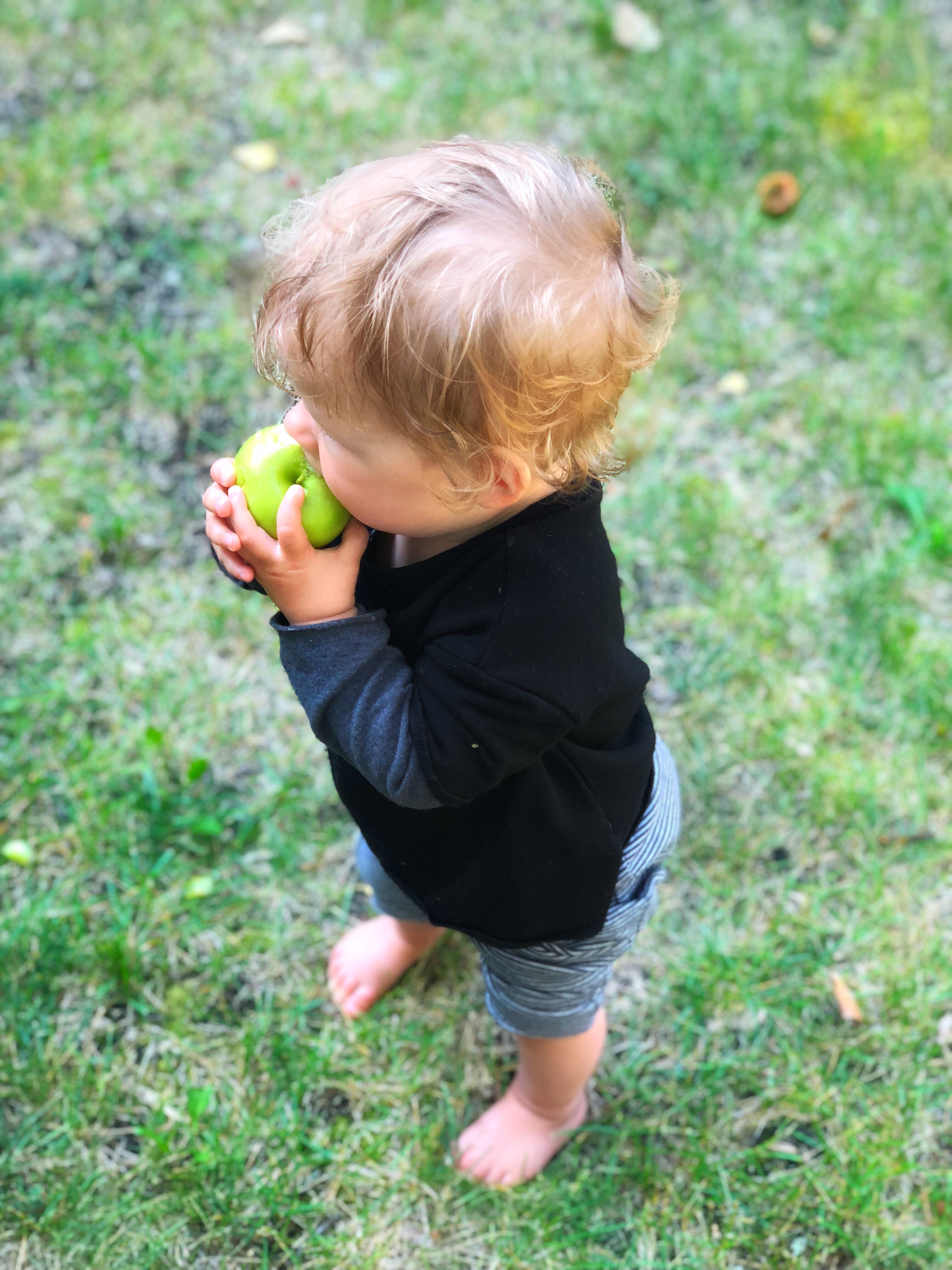 child eating fresh fruit